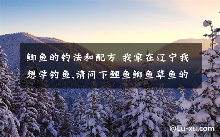 鲫鱼的钓法和配方 我家在辽宁我想学钓鱼,请问下鲤鱼鲫鱼草鱼的鱼饵配料和如何打窝