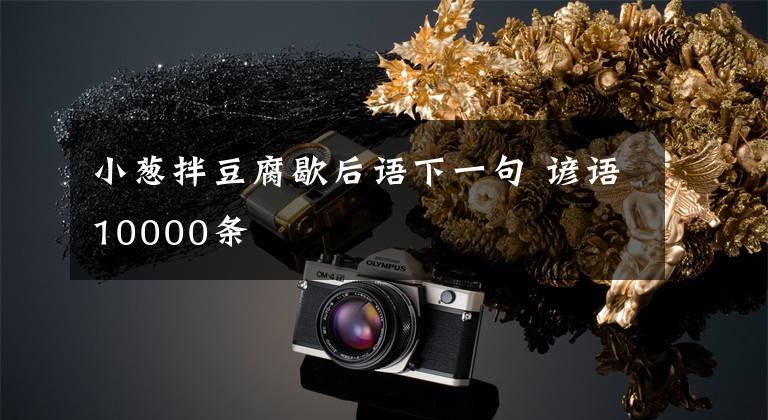 小葱拌豆腐歇后语下一句 谚语10000条