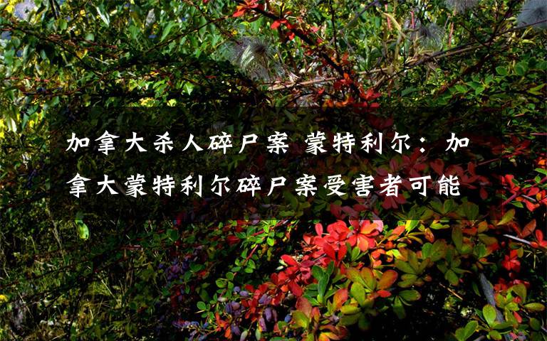 加拿大杀人碎尸案 蒙特利尔:加拿大蒙特利尔碎尸案受害者可能是中国留学生