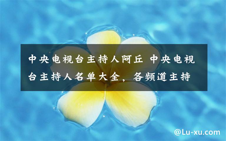 中央电视台主持人阿丘 中央电视台主持人名单大全,各频道主持人名单