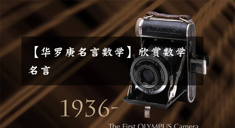 【华罗庚名言数学】欣赏数学名言