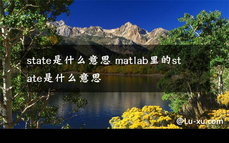 state是什么意思 matlab里的state是什么意思