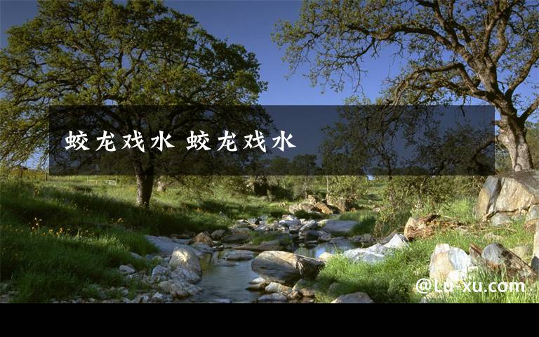 蛟龙戏水 蛟龙戏水