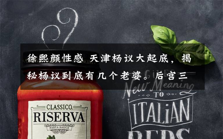 徐熙颜性感 天津杨议大起底,揭秘杨议到底有几个老婆。后宫三千堪比乾隆?