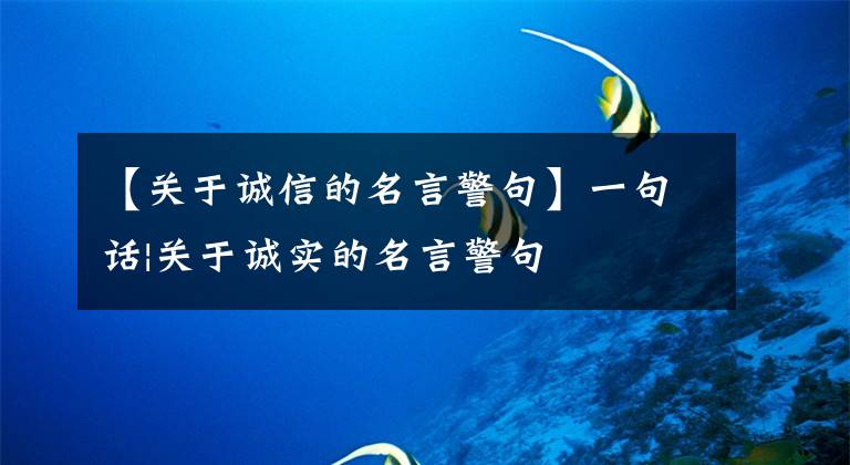 【关于诚信的名言警句】一句话|关于诚实的名言警句