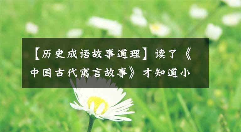 【历史成语故事道理】读了《中国古代寓言故事》才知道小故事的大道理