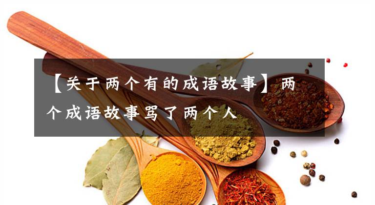 【关于两个有的成语故事】两个成语故事骂了两个人