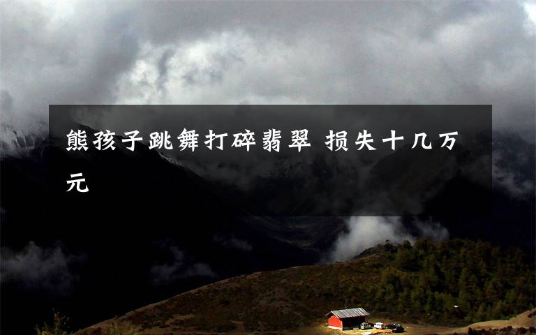 熊孩子跳舞打碎翡翠 损失十几万元