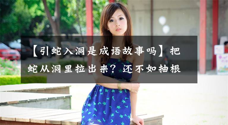 【引蛇入洞是成语故事吗】把蛇从洞里拉出来?还不如抽根烟让蛇从洞里出来!