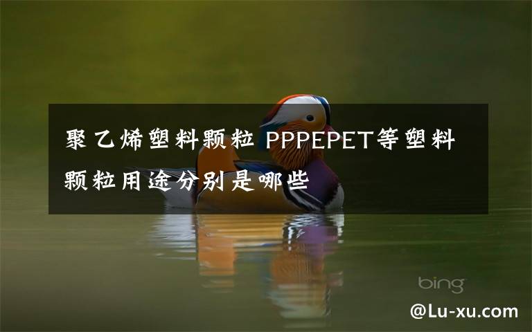 聚乙烯塑料颗粒 PPPEPET等塑料颗粒用途分别是哪些