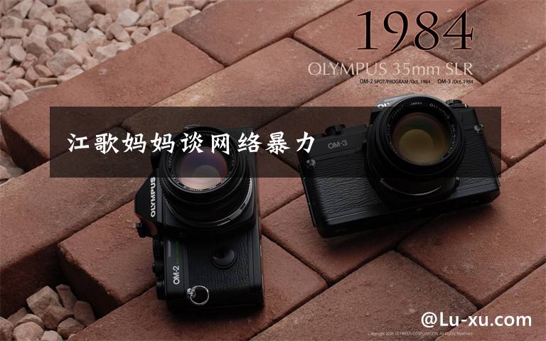 江歌妈妈谈网络暴力