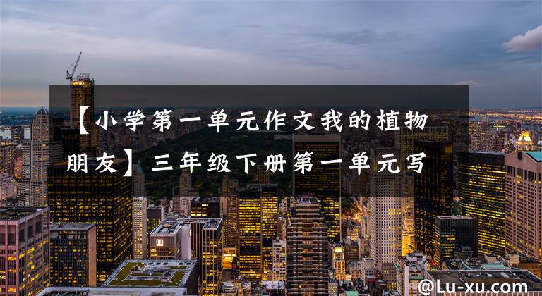 【小学第一单元作文我的植物朋友】三年级下册第一单元写作:我的植物朋友张树华