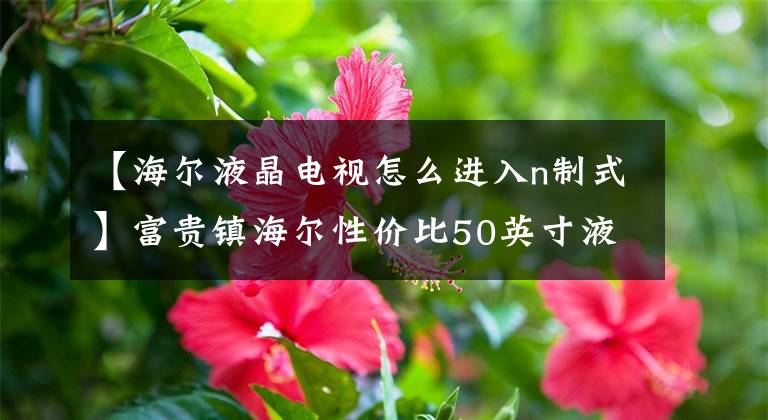 【海尔液晶电视怎么进入n制式】富贵镇海尔性价比50英寸液晶3199