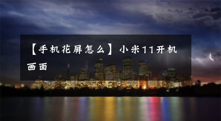 【手机花屏怎么】小米11开机画面