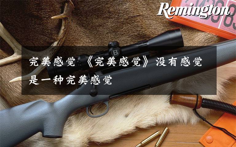 完美感觉 《完美感觉》没有感觉是一种完美感觉