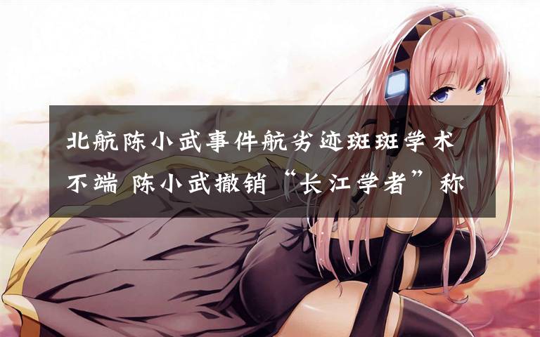 北航陈小武事件航劣迹斑斑学术不端 陈小武撤销“长江学者”称号