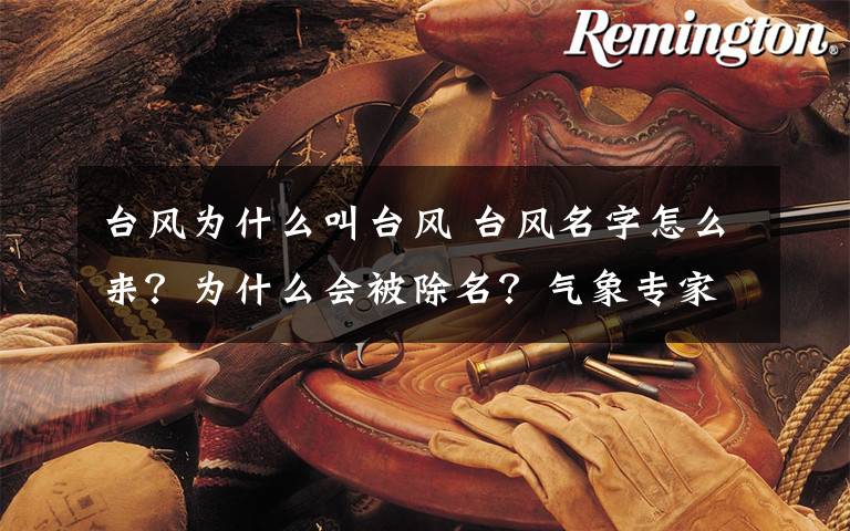 台风为什么叫台风 台风名字怎么来?为什么会被除名?气象专家揭秘