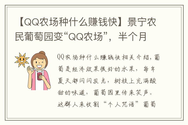 【QQ农场种什么赚钱快】景宁农民葡萄园变“QQ农场”,半个月认领完,30亩赚了30万,啥样