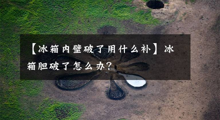 【冰箱内壁破了用什么补】冰箱胆破了怎么办?