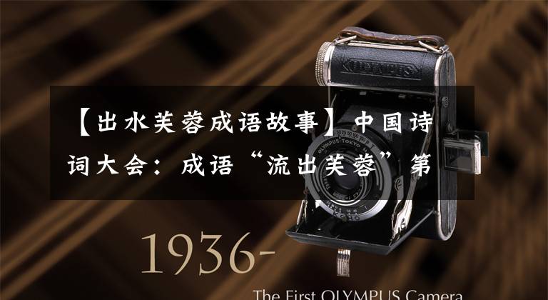 【出水芙蓉成语故事】中国诗词大会:成语“流出芙蓉”第一个被描述成什么,白人团49人不知道。