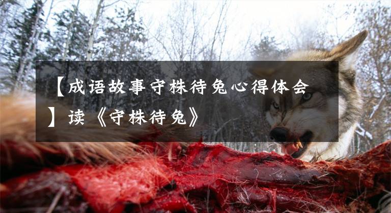 【成语故事守株待兔心得体会】读《守株待兔》