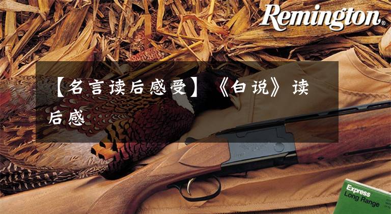 【名言读后感受】《白说》读后感