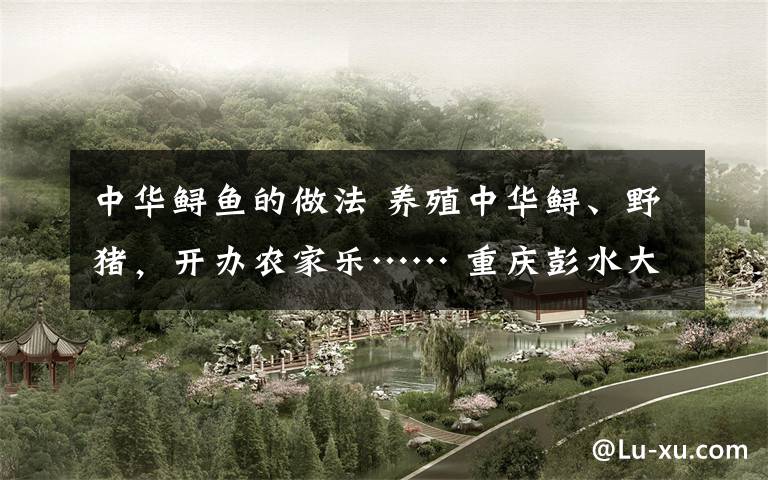 中华鲟鱼的做法 养殖中华鲟、野猪,开办农家乐…… 重庆彭水大垭乡因地制宜发展产业