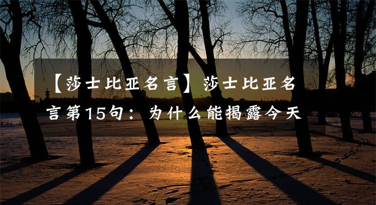 【莎士比亚名言】莎士比亚名言第15句:为什么能揭露今天?