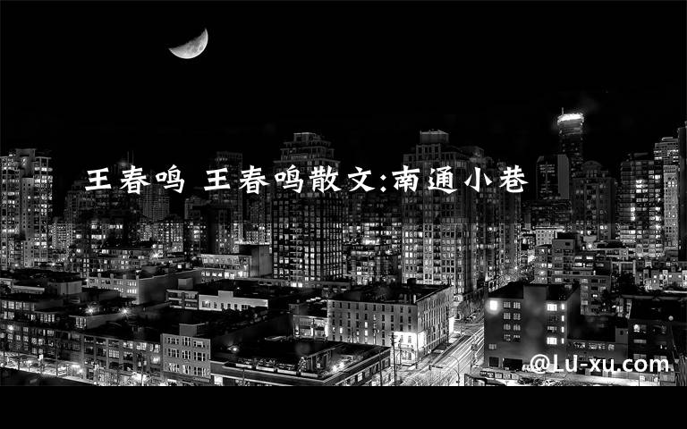 王春鸣 王春鸣散文:南通小巷