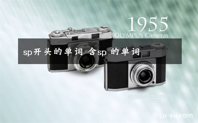 sp开头的单词 含sp 的单词