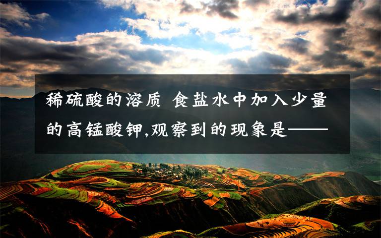 稀硫酸的溶质 食盐水中加入少量的高锰酸钾,观察到的现象是————,溶质是——,溶剂是——.馨和稀硫酸恰好完全反应后,所得溶液中的溶质是