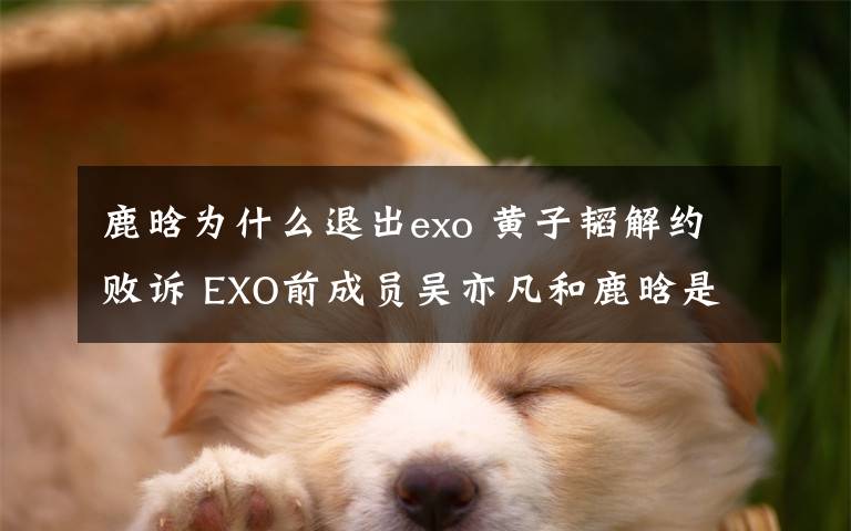 鹿晗为什么退出exo 黄子韬解约败诉 EXO前成员吴亦凡和鹿晗是怎么解决的?