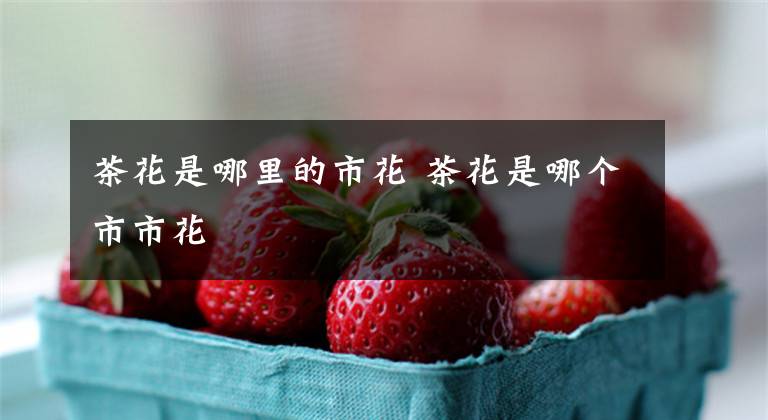 茶花是哪里的市花 茶花是哪个市市花