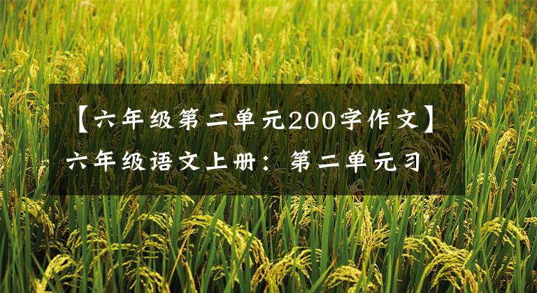 【六年级第二单元200字作文】六年级语文上册：第二单元习作《多彩的活动》优秀范文9篇