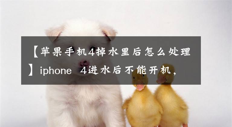 【苹果手机4掉水里后怎么处理】iphone 4进水后不能开机，插入电源插头后会显示苹果图标，但不能开机