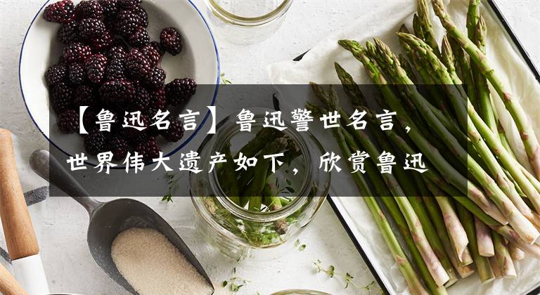 【鲁迅名言】鲁迅警世名言,世界伟大遗产如下,欣赏鲁迅的24句名言