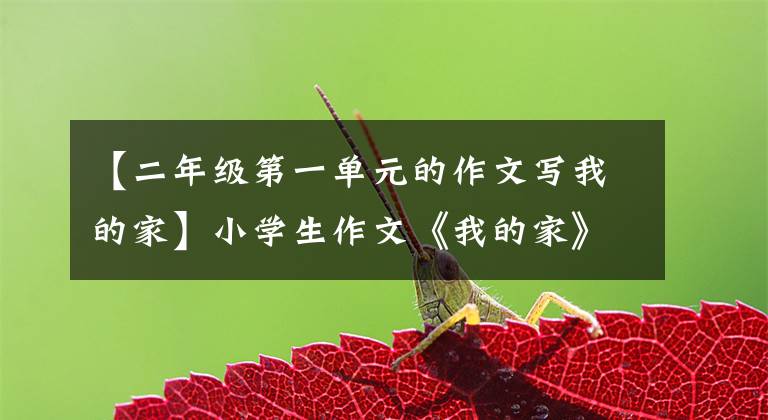 【二年级第一单元的作文写我的家】小学生作文《我的家》美元,家人都是名著人物,就像家庭版西游记一样。