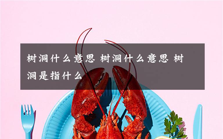 树洞什么意思 树洞什么意思 树洞是指什么