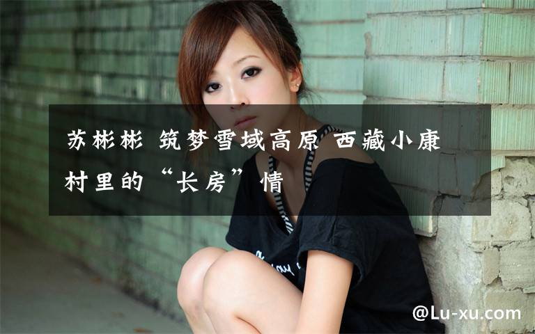 苏彬彬 筑梦雪域高原 西藏小康村里的“长房”情