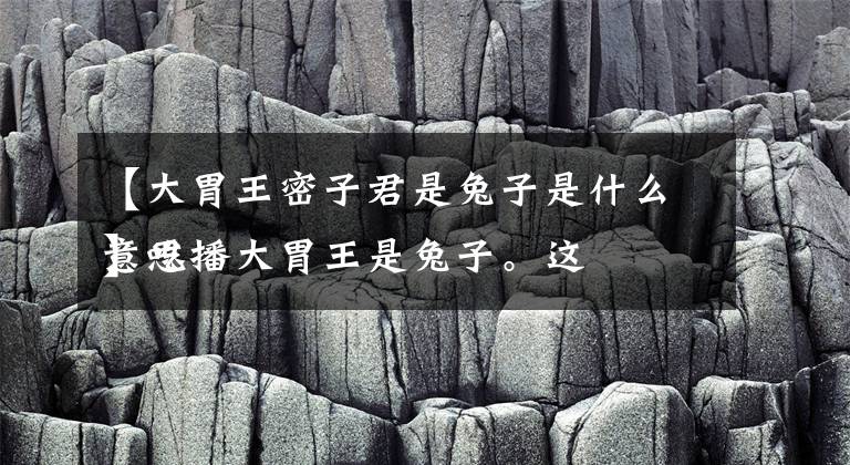 【大胃王密子君是兔子是什么意思
】吃播大胃王是兔子。这里的兔子是什么意思?