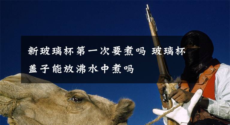 新玻璃杯第一次要煮吗 玻璃杯盖子能放沸水中煮吗