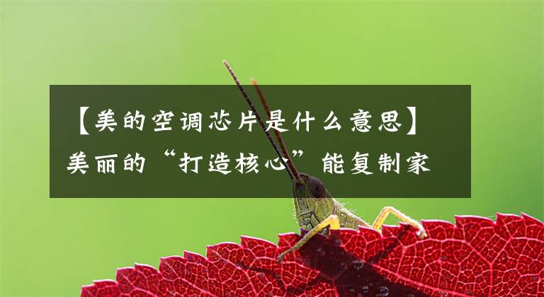 【美的空调芯片是什么意思】美丽的“打造核心”能复制家电领域的成功吗?