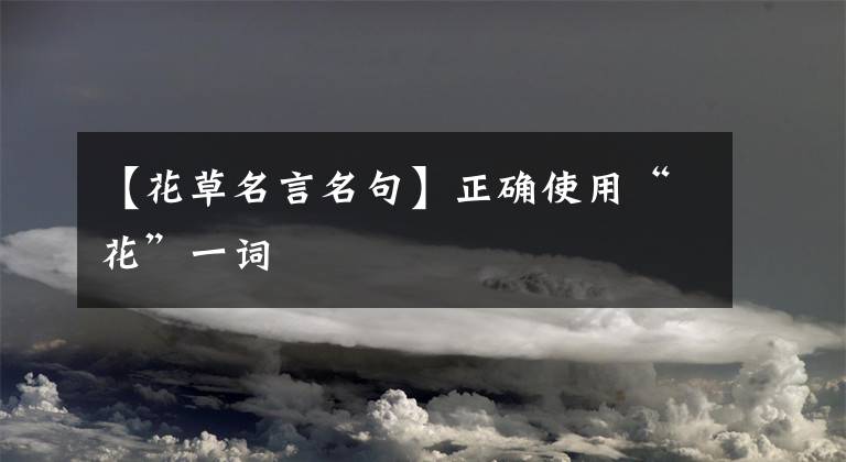 【花草名言名句】正确使用“花”一词