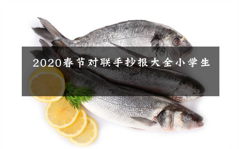 2020春节对联手抄报大全小学生