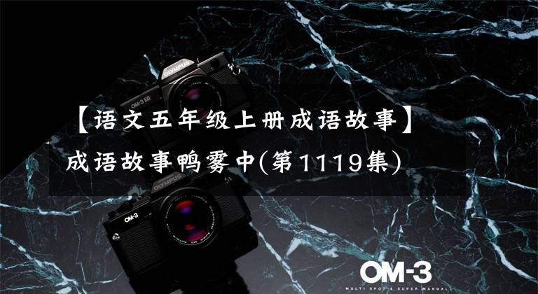 【语文五年级上册成语故事】成语故事鸭雾中(第1119集)