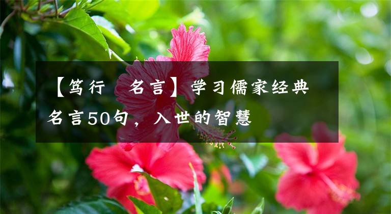 【笃行肑名言】学习儒家经典名言50句,入世的智慧