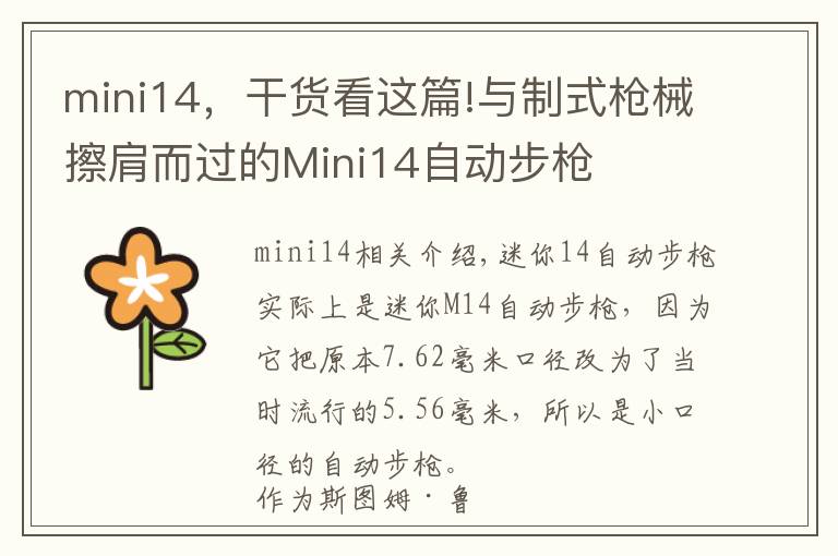 mini14,干货看这篇!与制式枪械擦肩而过的Mini14自动步枪