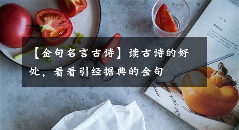 【金句名言古诗】读古诗的好处,看看引经据典的金句