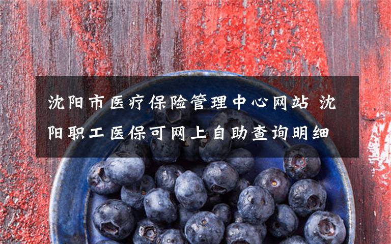 沈阳市医疗保险管理中心网站 沈阳职工医保可网上自助查询明细