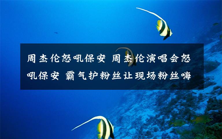 周杰伦怒吼保安 周杰伦演唱会怒吼保安 霸气护粉丝让现场粉丝嗨翻尖叫